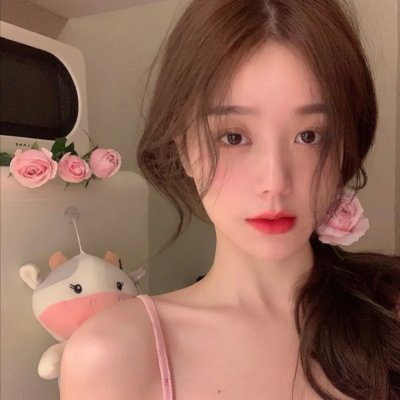南极洲140天 在线观看